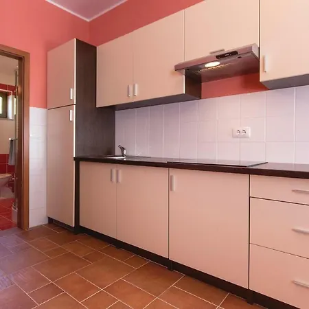 Vakantiehuis Five-bedroom Holiday In Gračišče